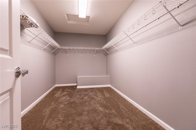 363 Terrill Ave, Las Vegas, NV 89183 - spacious closet with carpet floors