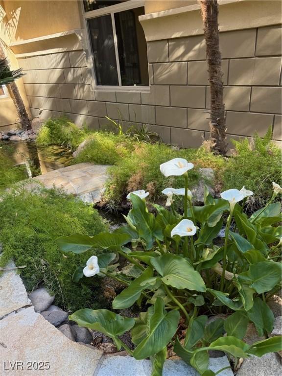 4 Bloomfield Hills Dr, Henderson, NV 89052 - photo 8