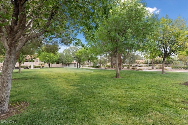 10021 Skipper Ct, Las Vegas, NV 89117 - view of grassy yard
