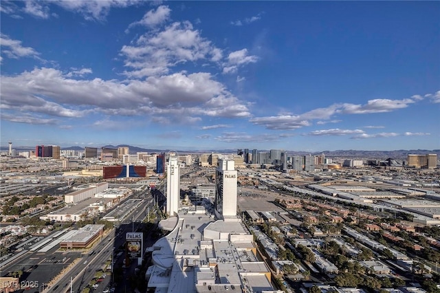 4381 W Flamingo Rd Unit 5502, Las Vegas, NV 89103 - photo 44