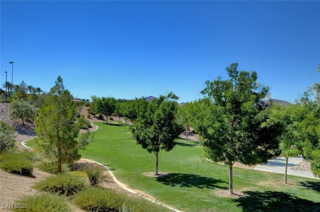 view of home's community featuring a lawn