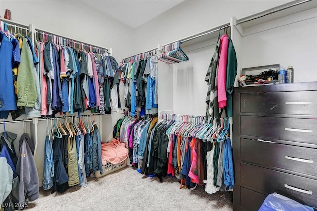 walk in closet with carpet flooring