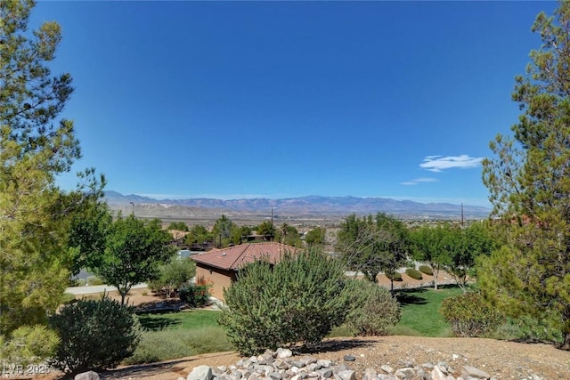 2641 Vendange Pl, Henderson, NV 89044 - photo 42