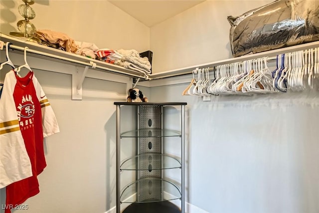 view of spacious closet