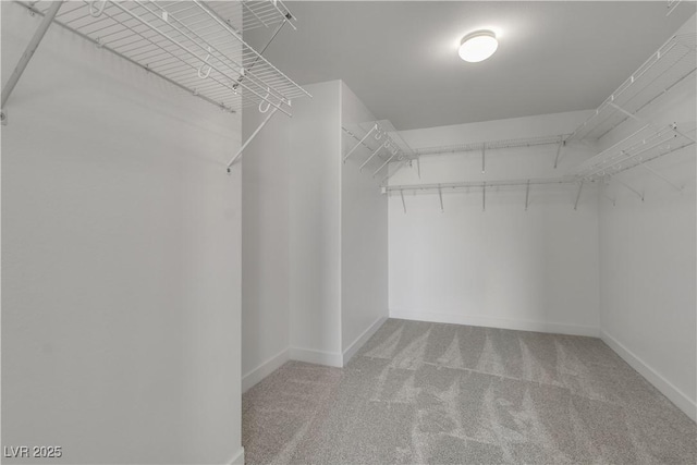 6790 Gold Yarrow St, Las Vegas, NV 89148 - spacious closet featuring carpet flooring
