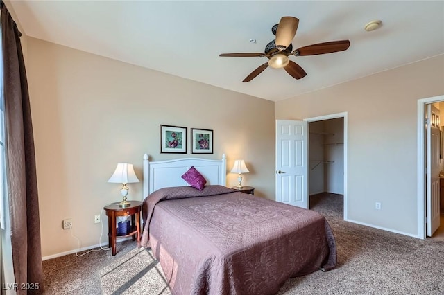 bedroom with a walk in closet, ceiling fan, carpet floors, and baseboards