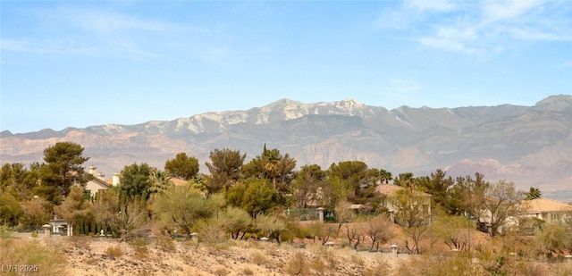 view of mountain feature