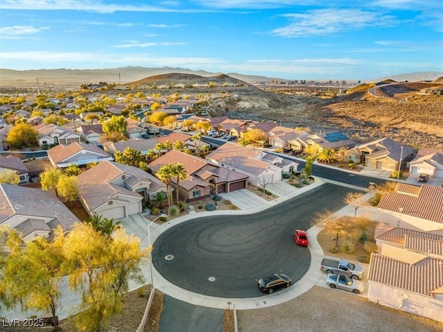 1065 Otto Ridge Ct, Henderson, NV 89052 - photo 53