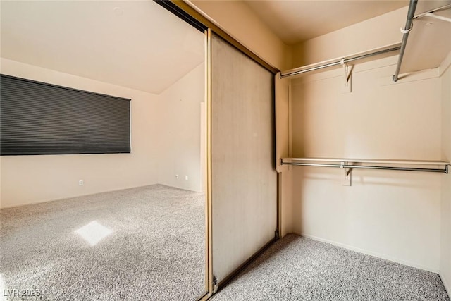 9532 Calico Garden Ave, Las Vegas, NV 89134 - view of closet