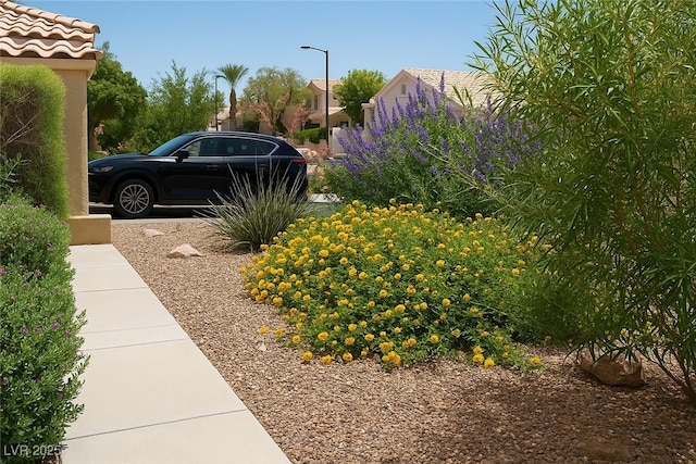 9532 Calico Garden Ave, Las Vegas, NV 89134 - view of yard