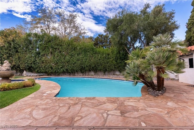 view of swimming pool featuring a patio
