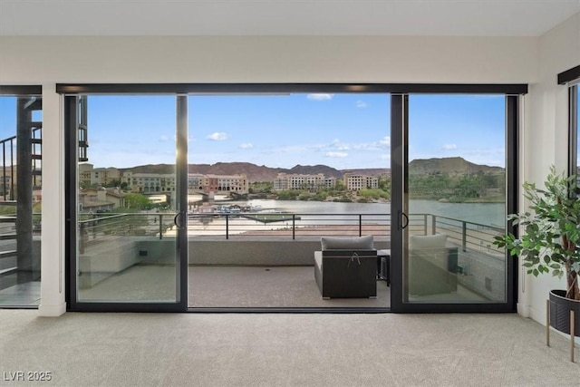 16 Heron Harbour Dr, Henderson, NV 89011 - photo 23