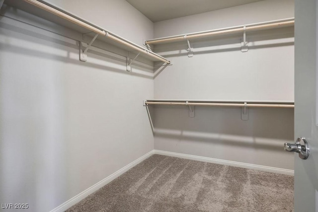 9871 Magnus Ct, Las Vegas, NV 89178 - walk in closet with carpet flooring