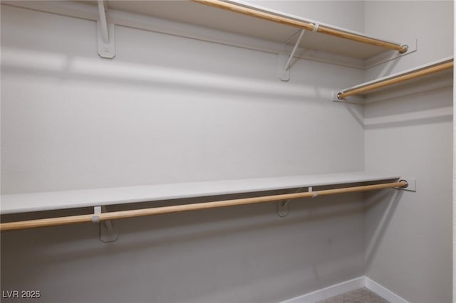 view of spacious closet