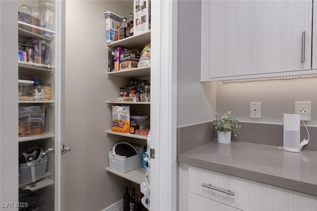 view of pantry