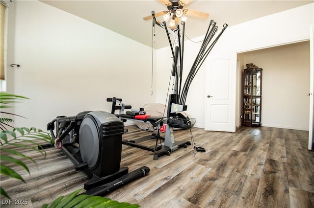 1017 Fairbury St, Henderson, NV 89052