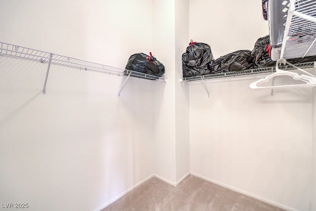spacious closet with light carpet