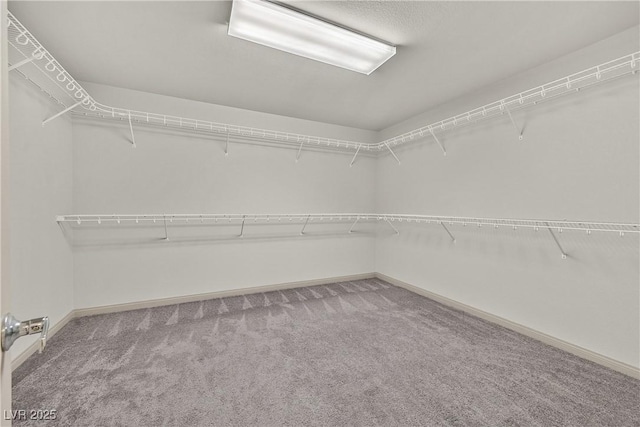 9830 Wild Coyote Ct, Las Vegas, NV 89141 - walk in closet featuring carpet floors
