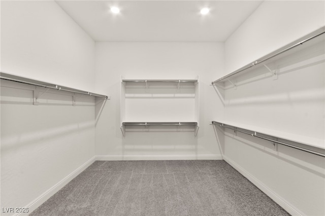 31 Autumn Palm Ave, Henderson, NV 89011 - spacious closet with carpet floors