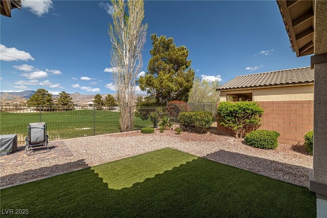 5224 E San Palo Dr, Pahrump, NV 89061 - view of yard featuring a fenced backyard, a patio, and a mountain view