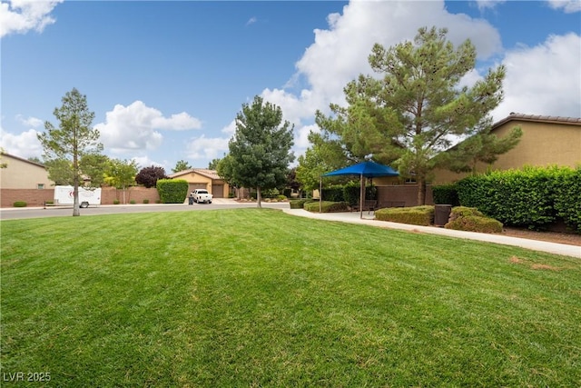 5224 E San Palo Dr, Pahrump, NV 89061 - view of yard
