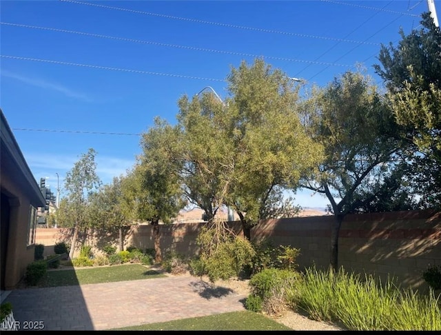 view of yard featuring a fenced backyard and a patio area