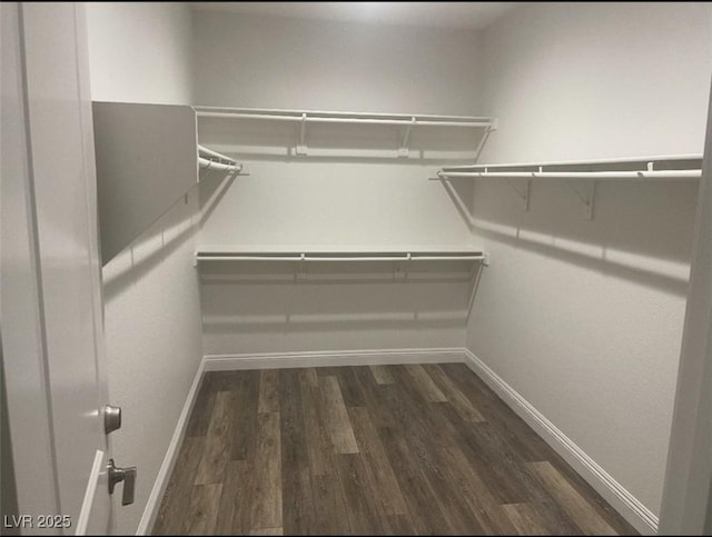 walk in closet with dark wood-style flooring