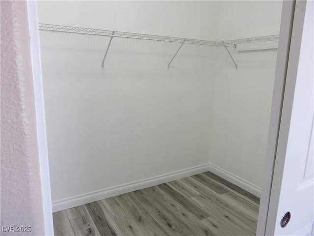 walk in closet with light wood finished floors