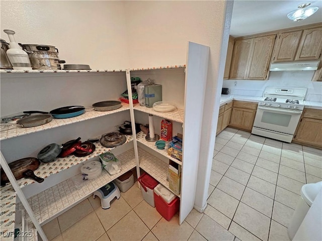 view of pantry