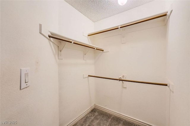 spacious closet featuring carpet floors