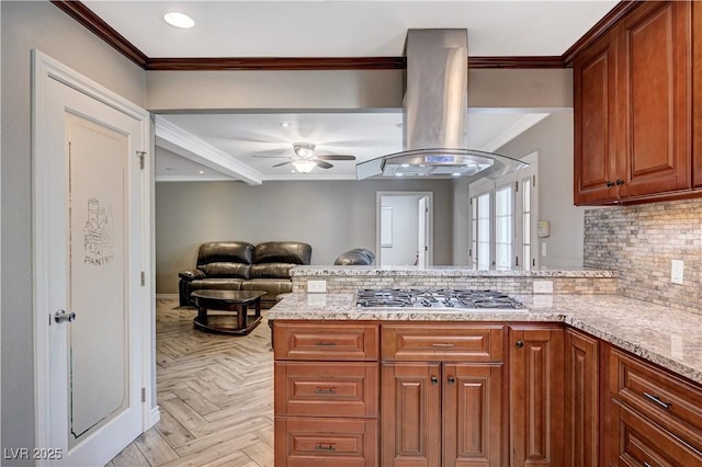 kitchen with crown molding, a peninsula, island range hood, and stainless steel gas cooktop