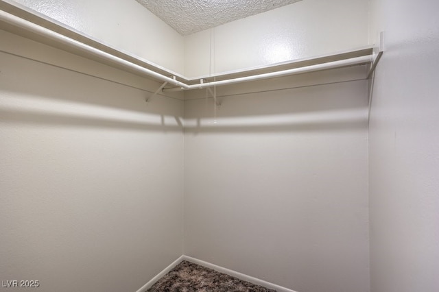 walk in closet featuring dark carpet