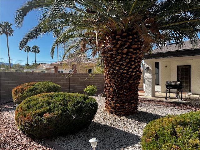view of yard with a patio area and fence