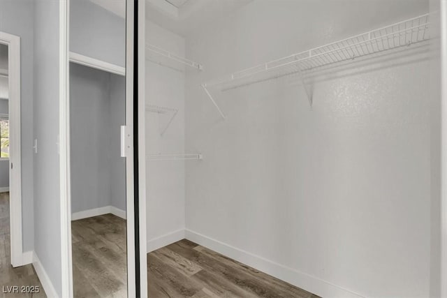 walk in closet featuring wood finished floors