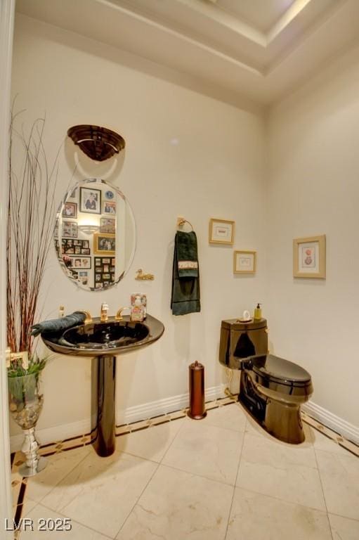 details with a tray ceiling and baseboards