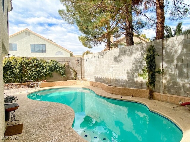 view of swimming pool with a patio area, a fenced backyard, and a fenced in pool