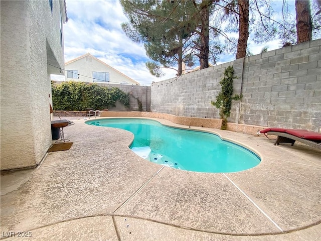 view of pool featuring a fenced in pool, a patio area, and a fenced backyard