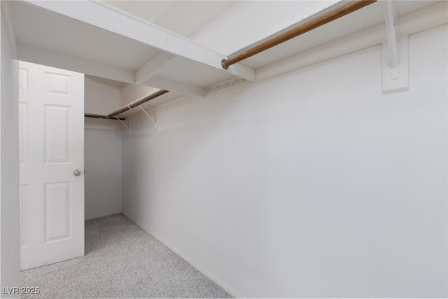 view of spacious closet