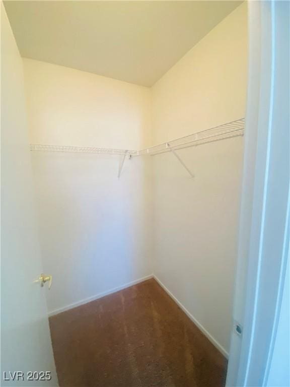 walk in closet featuring dark colored carpet