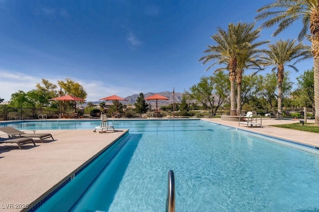 3908 Specula Wing Dr, North Las Vegas, NV 89084 - community pool featuring a patio