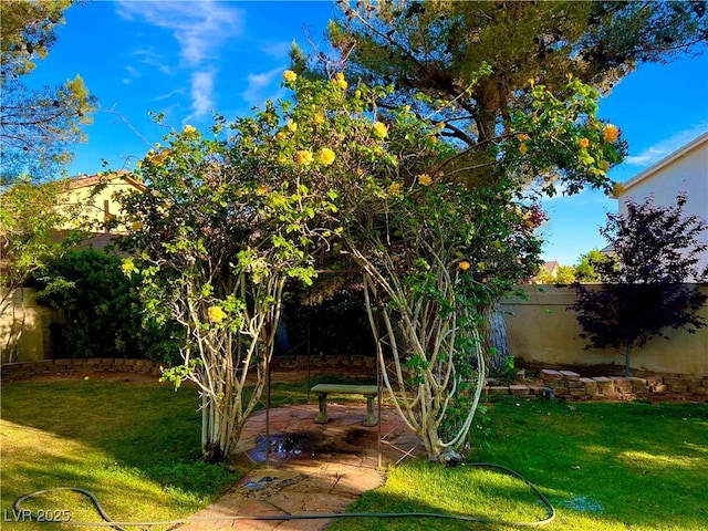 8690 W Ford Ave, Las Vegas, NV 89148 - view of yard