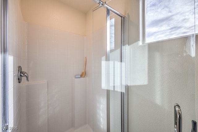 full bathroom featuring a shower stall