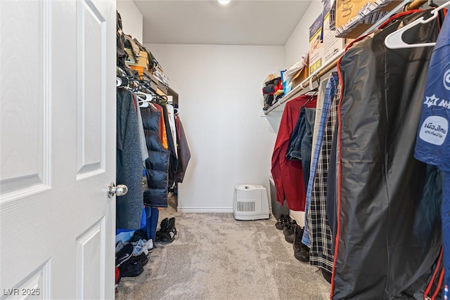 spacious closet featuring carpet flooring