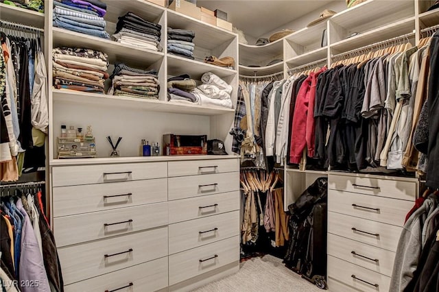12199 Canyon Sunset St, Las Vegas, NV 89138 - walk in closet featuring light colored carpet