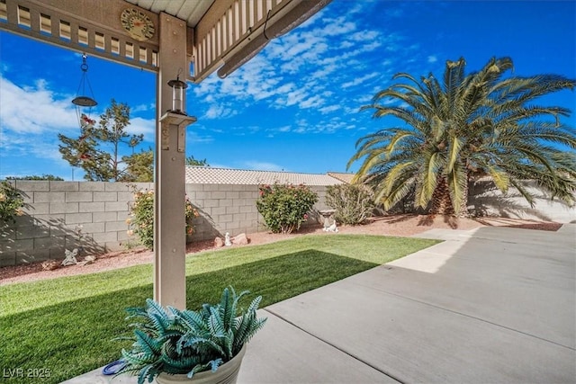 1066 Vanlier Ln, Henderson, NV 89015 - view of yard with a patio