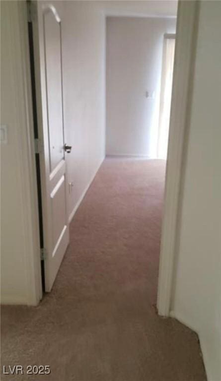 hall featuring light carpet