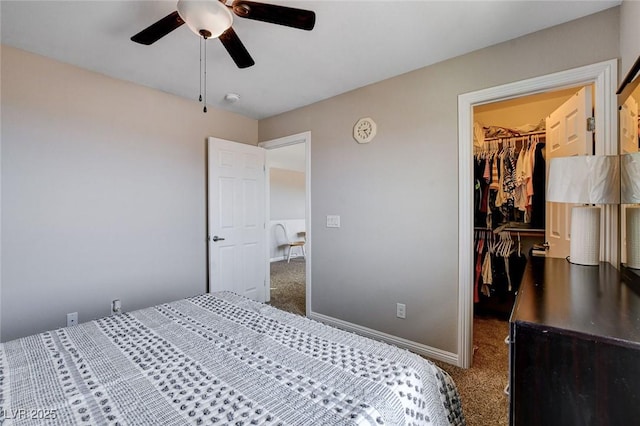 bedroom with a walk in closet, carpet flooring, a closet, and ceiling fan