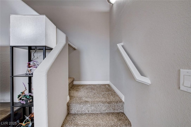 stairs with carpet floors