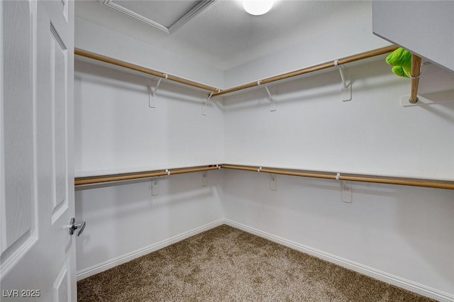 11036 Mount Hunter St, Las Vegas, NV 89179 - spacious closet with carpet flooring and attic access