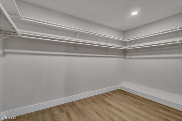 spacious closet featuring wood finished floors